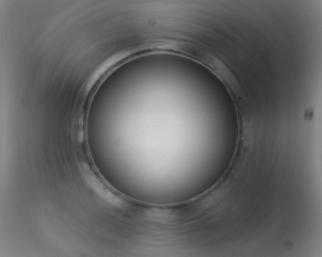 X0000113321036200909211150