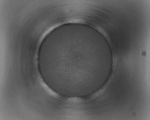 X0000113321037200909211150