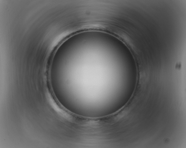 X0000113321038200909211150