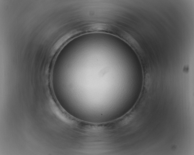 X0000113321039200909211150