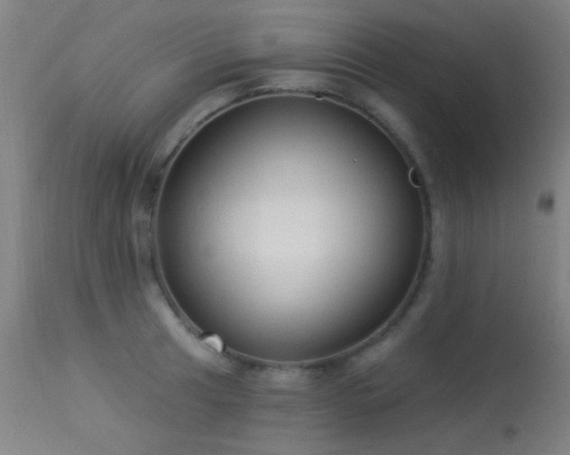 X0000113321041200909211150