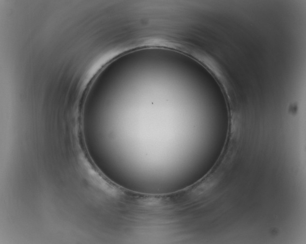 X0000113321048200909211150