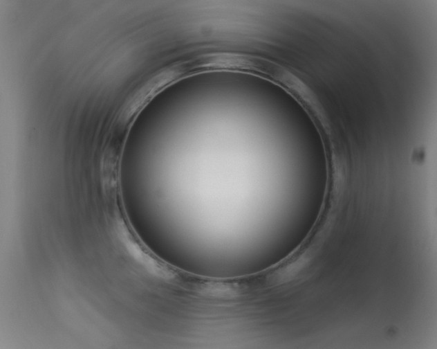 X0000113321049200909211150