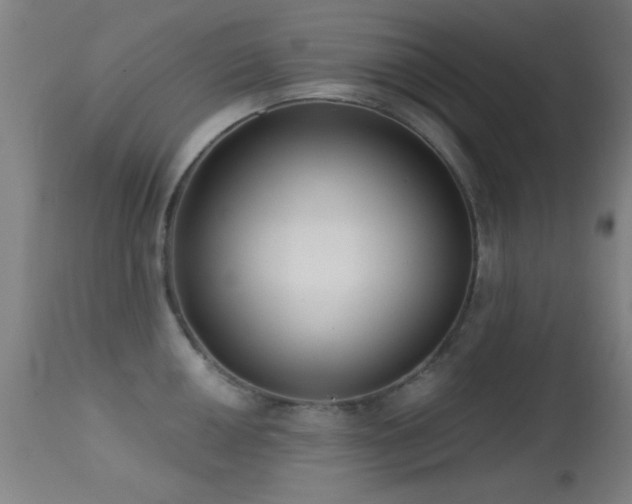 X0000113321050200909211150