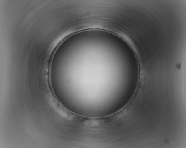 X0000113321051200909211150