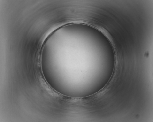 X0000113321052200909211150