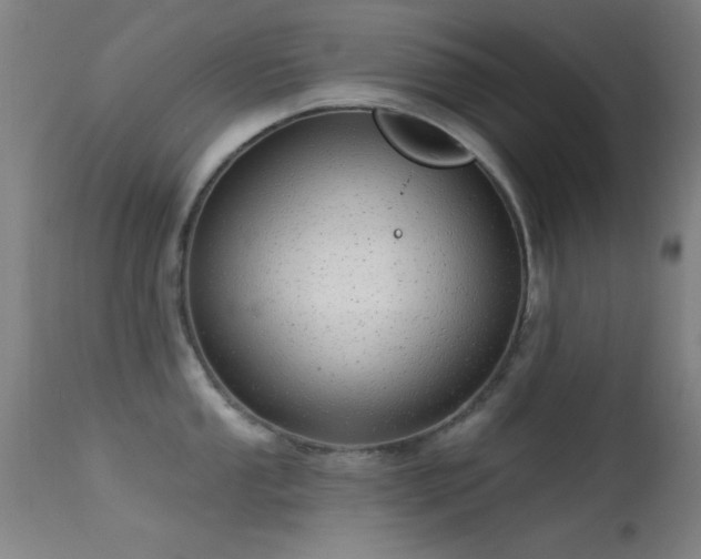 X0000113321053200909211150