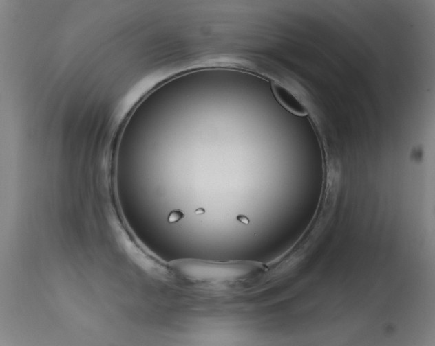 X0000113321054200909211151