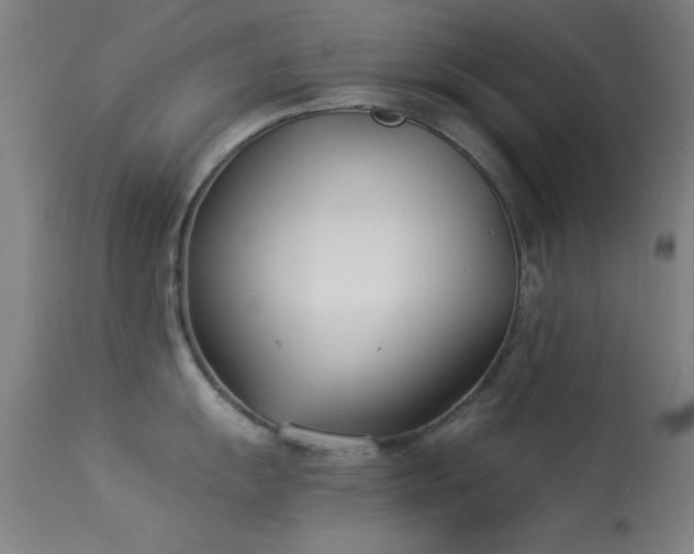 X0000113321055200909211151