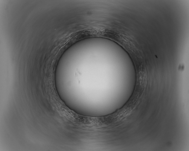 X0000113321057200909211150