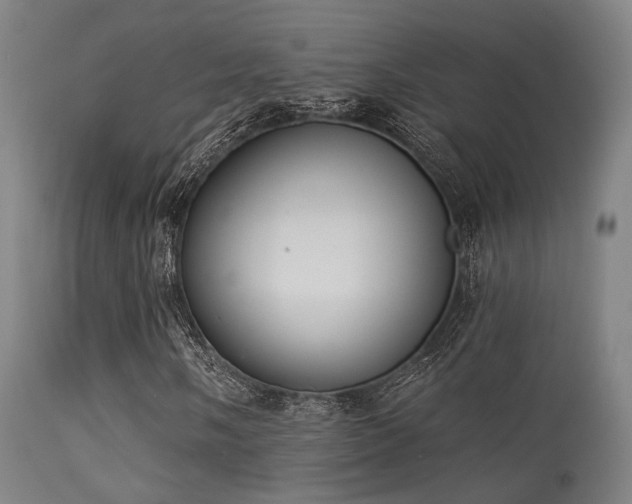 X0000113321058200909211150