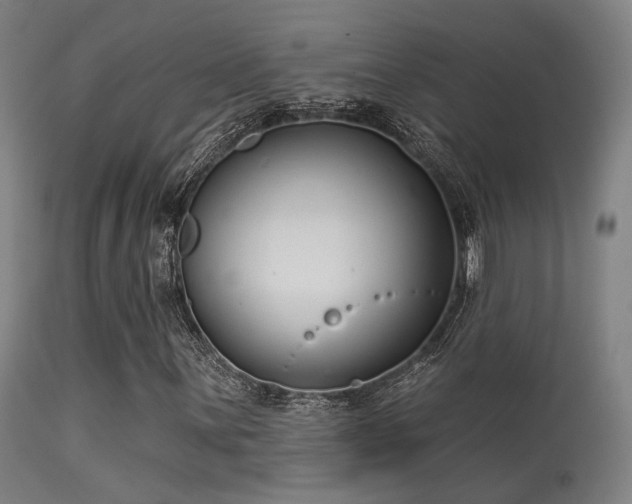 X0000113321059200909211150