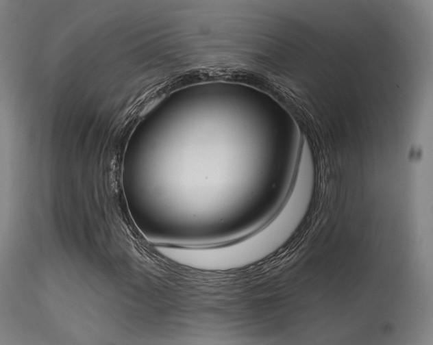 X0000113321060200909211150