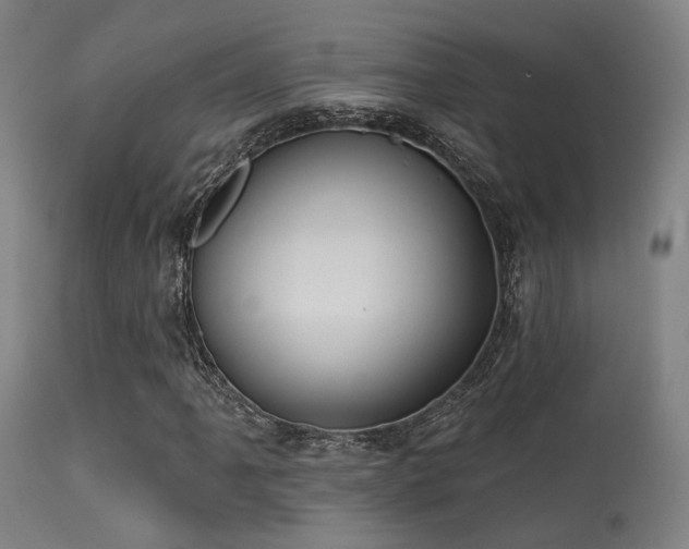 X0000113321061200909211150