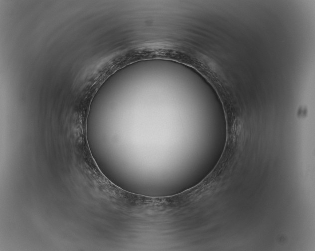 X0000113321062200909211150