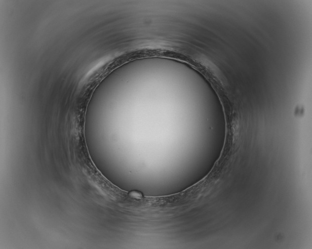 X0000113321064200909211150