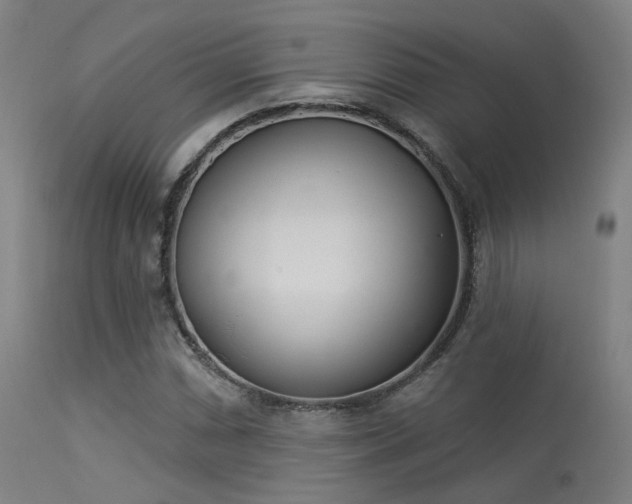 X0000113321066200909211150