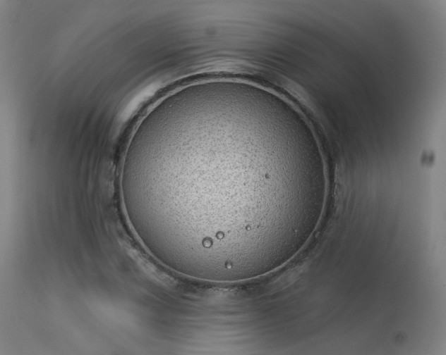 X0000113321067200909211150