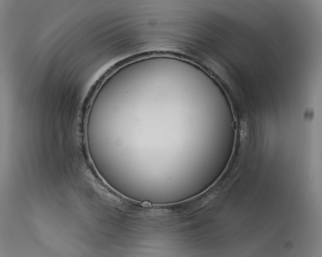 X0000113321068200909211150