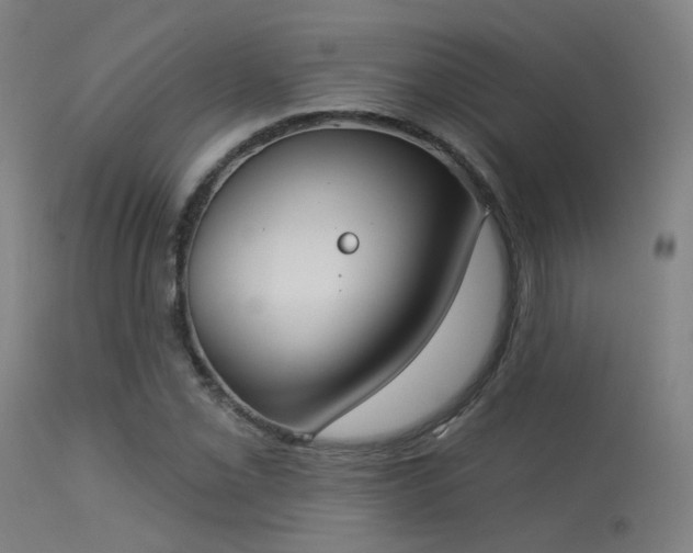 X0000113321069200909211150