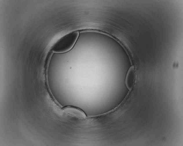 X0000113321072200909211149