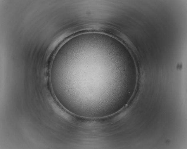 X0000113321075200909211149