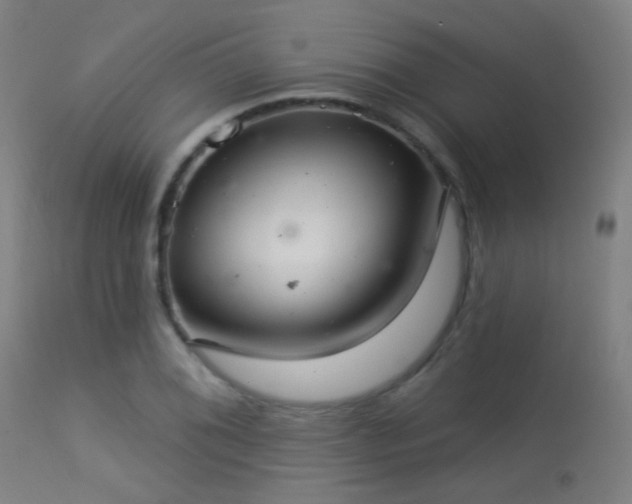 X0000113321076200909211149