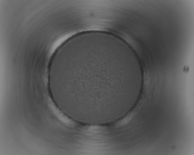 X0000113321077200909211149