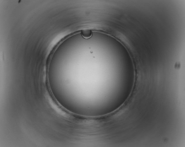 X0000113321079200909211149