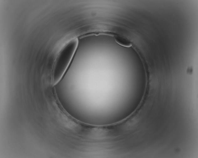 X0000113321081200909211149