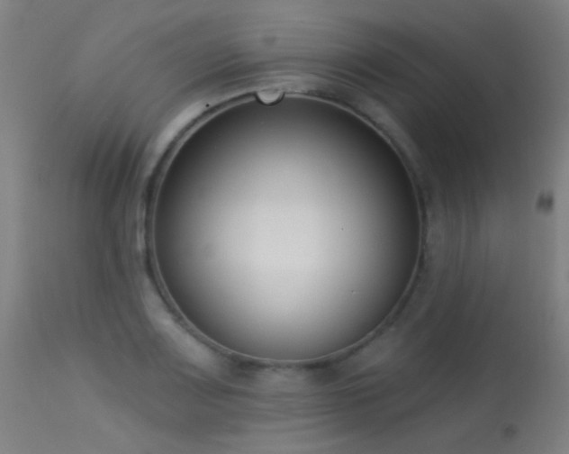 X0000113321083200909211149