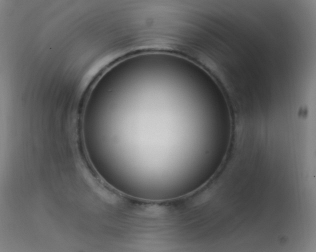 X0000113321085200909211149