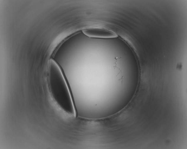 X0000113321088200909211149