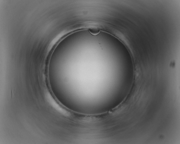 X0000113321091200909211149