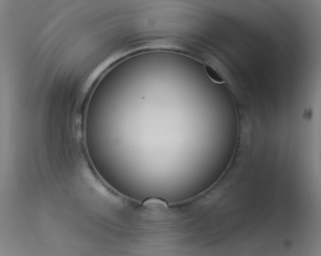 X0000113321092200909211149