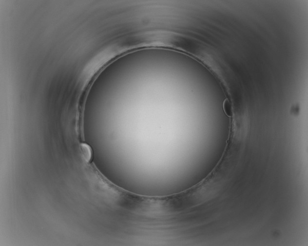 X0000113321096200909211149