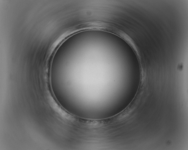 X0000113321099200909211149