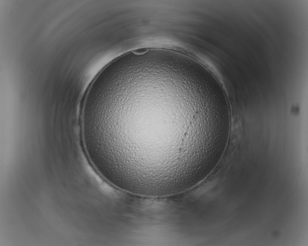 X0000113321103200909211149