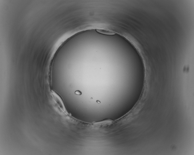 X0000113321104200909211149