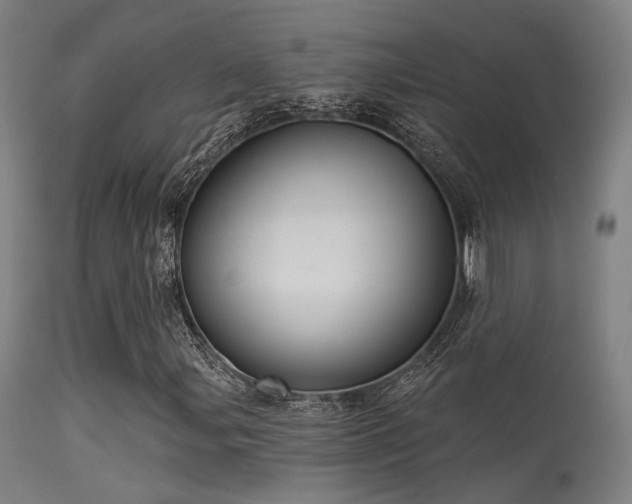 X0000113321107200909211148