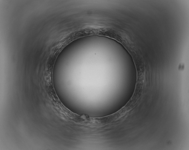 X0000113321109200909211148