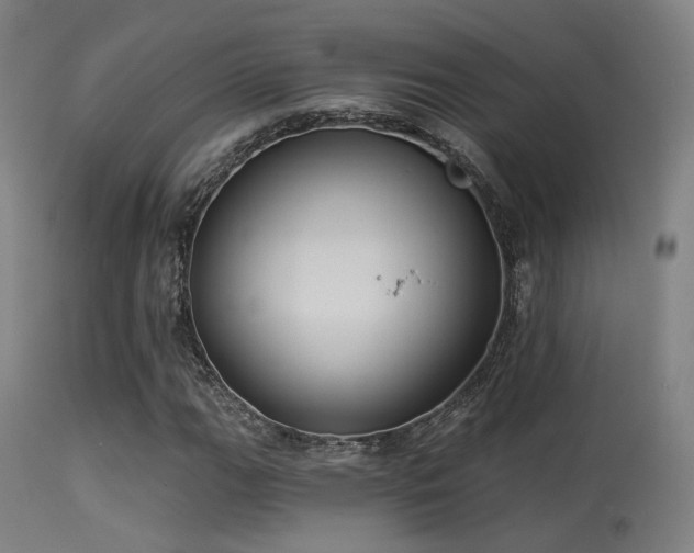 X0000113321111200909211148