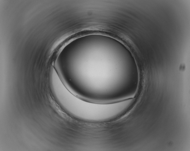 X0000113321114200909211149