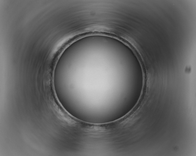 X0000113321115200909211149