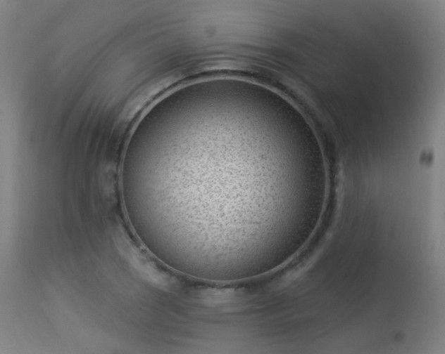 X0000113321121200909211149