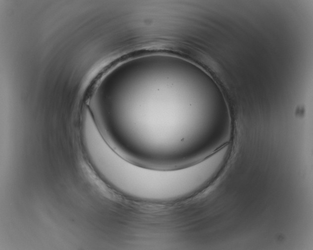 X0000113321122200909211149