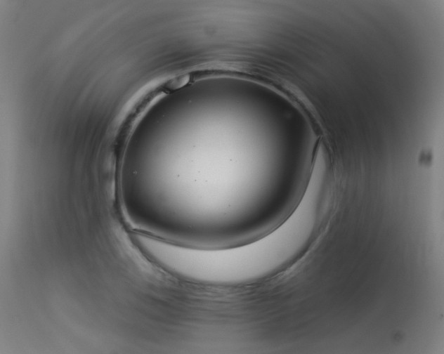 X0000113321123200909211149