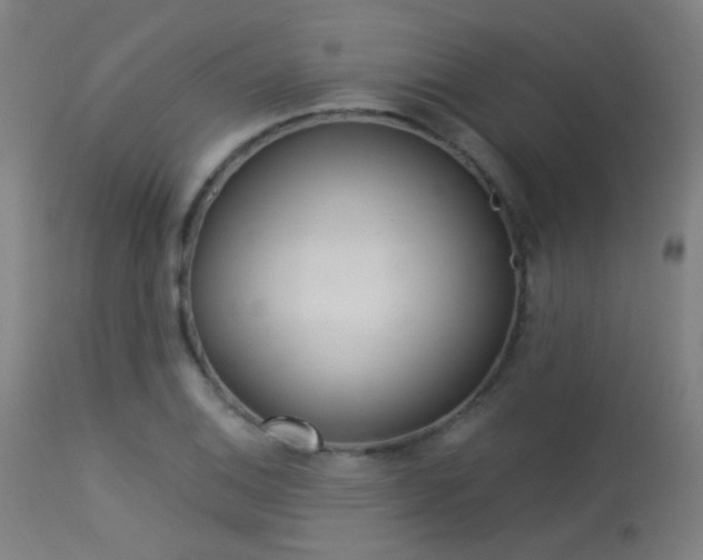 X0000113321124200909211149