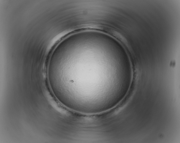 X0000113321125200909211149