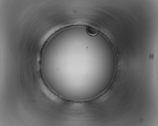 X0000113321126200909211149